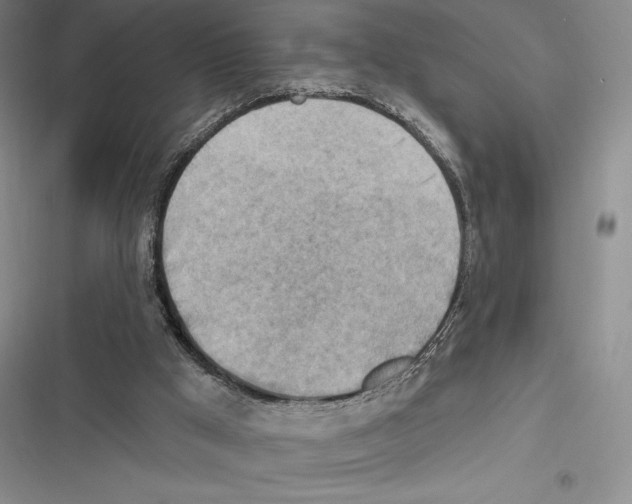 X0000116650009201001111238
