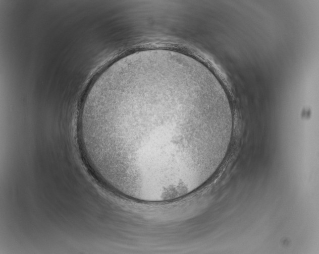 X0000116650010201001111238