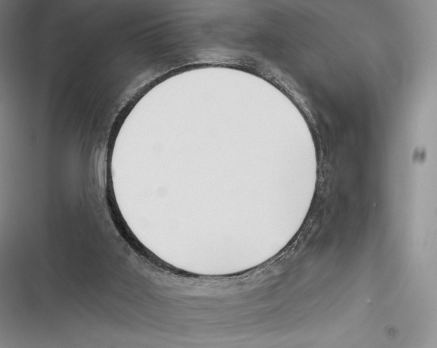 X0000116650011201001111238