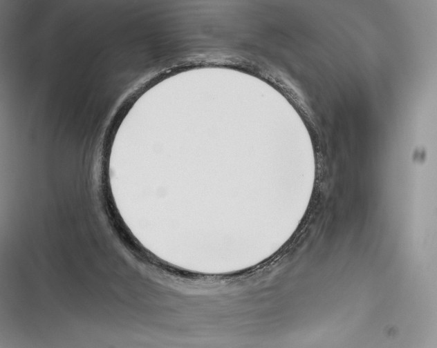 X0000116650012201001111238