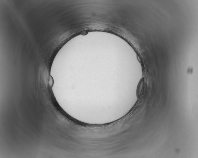 X0000116650013201001111238