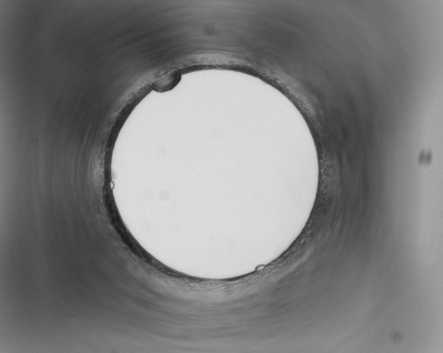 X0000116650015201001111238