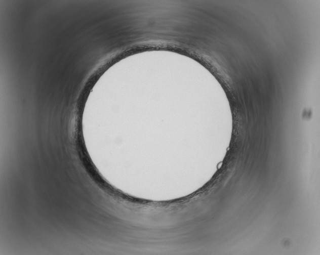 X0000116650016201001111238