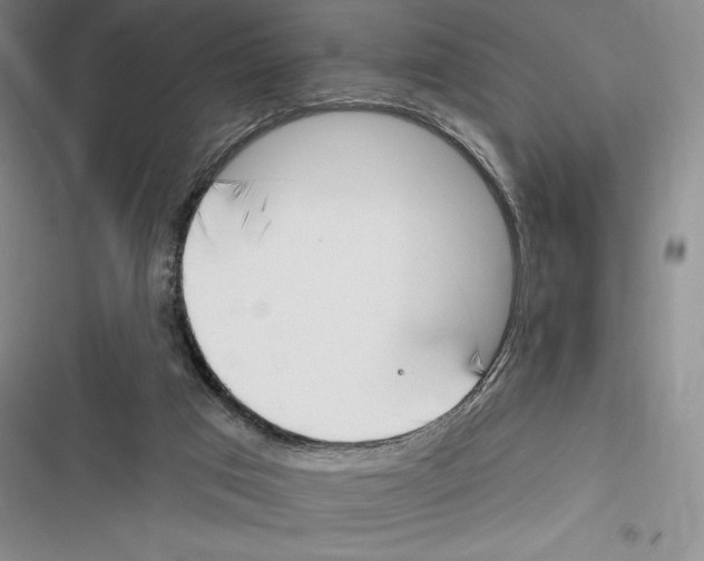 X0000116650017201001111238
