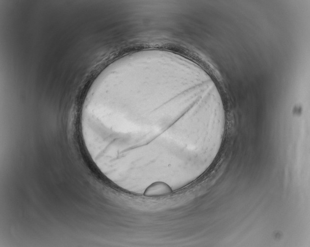 X0000116650018201001111238