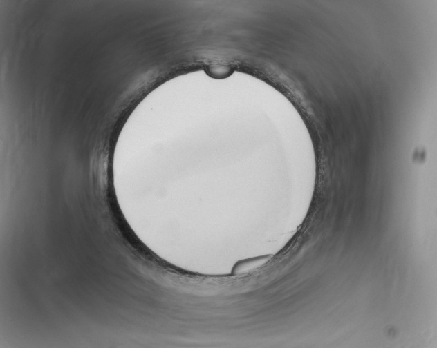 X0000116650019201001111238