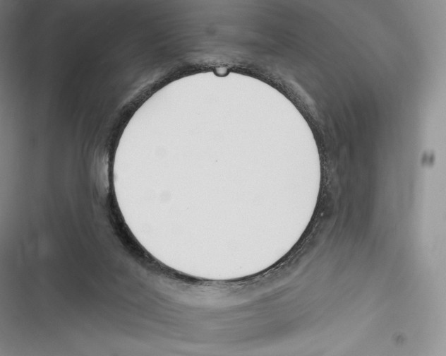 X0000116650020201001111238