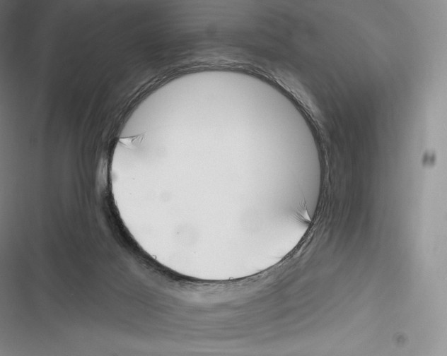 X0000116650021201001111238
