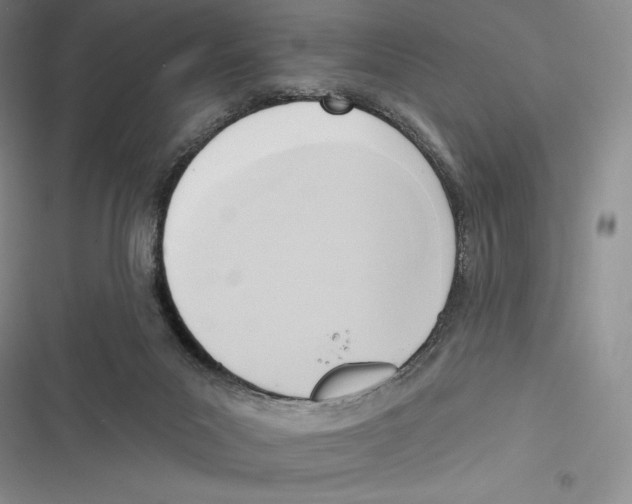 X0000116650023201001111238