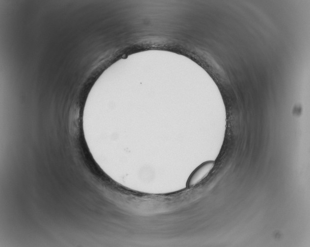 X0000116650024201001111238