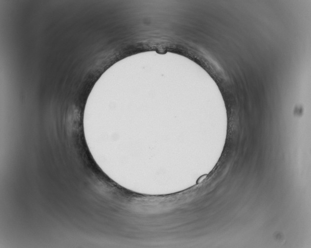 X0000116650025201001111238