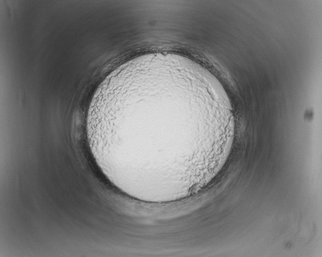 X0000116650026201001111238