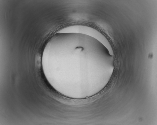 X0000116650027201001111238