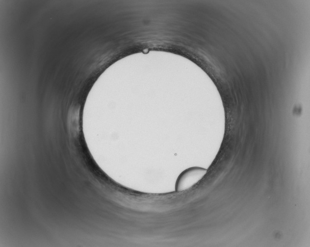 X0000116650028201001111238