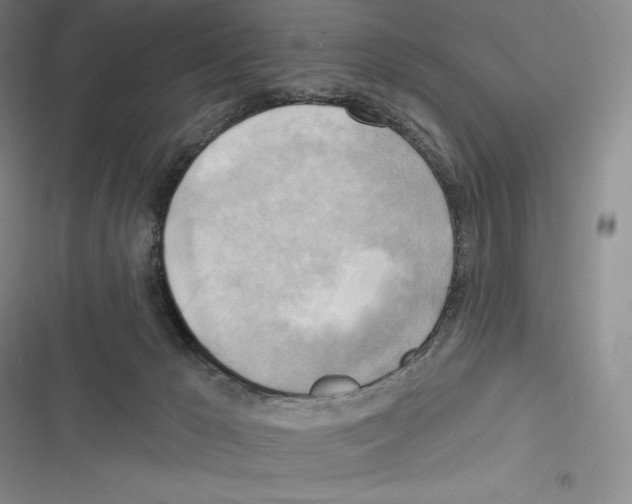 X0000116650029201001111238