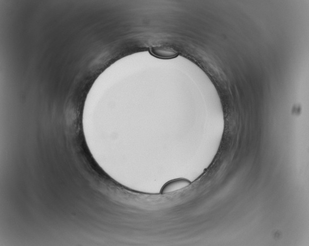 X0000116650031201001111238
