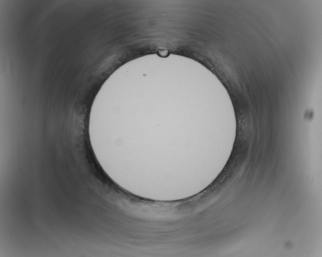 X0000116650032201001111238