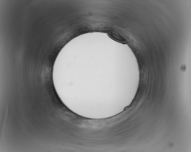 X0000116650033201001111238