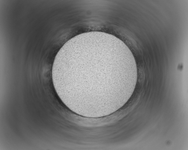 X0000116650034201001111238