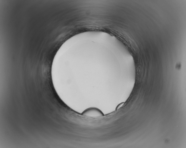 X0000116650035201001111238