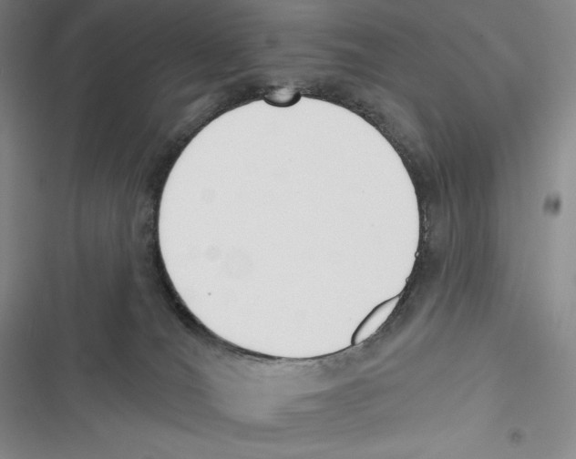 X0000116650036201001111238