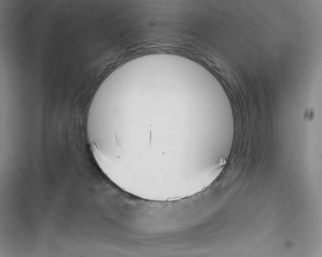 X0000116650037201001111238
