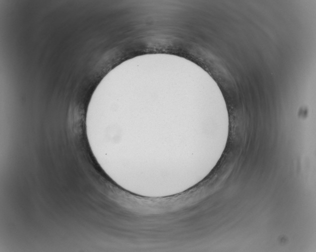 X0000116650038201001111238