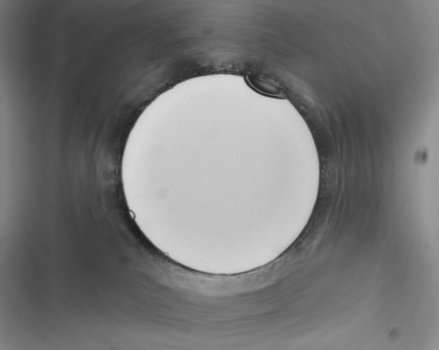 X0000116650039201001111238