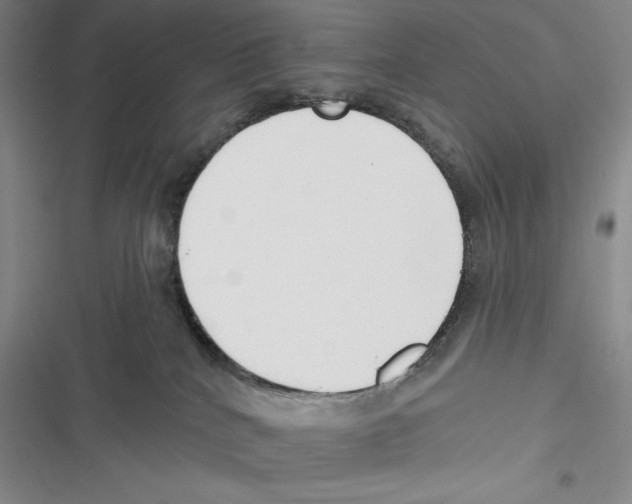 X0000116650040201001111238