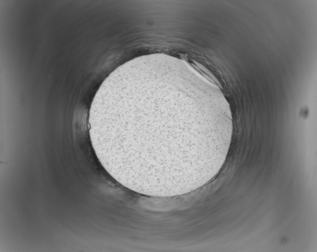 X0000116650041201001111238
