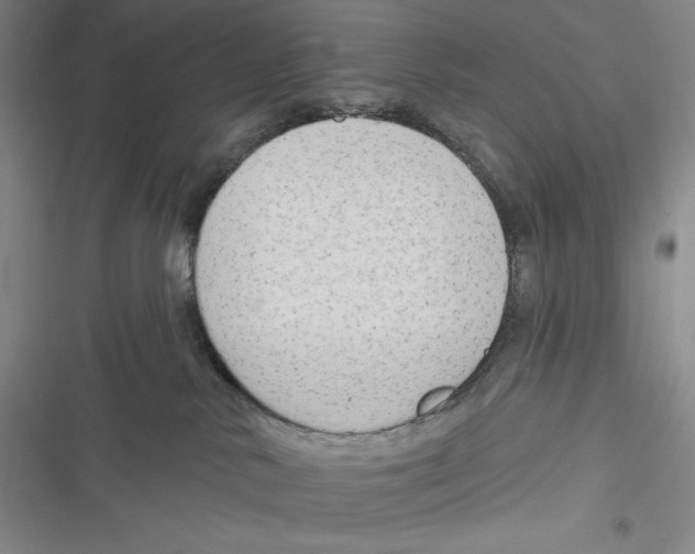 X0000116650042201001111238