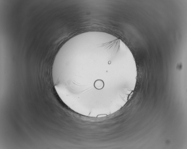 X0000116650043201001111238