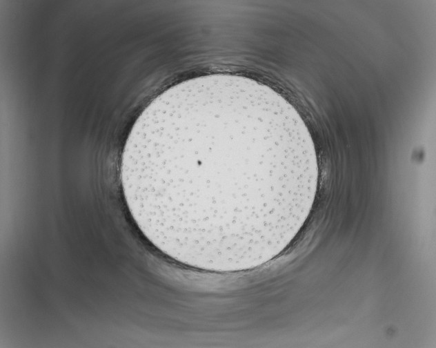 X0000116650044201001111238