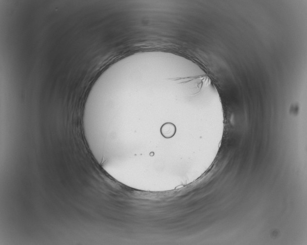 X0000116650045201001111238