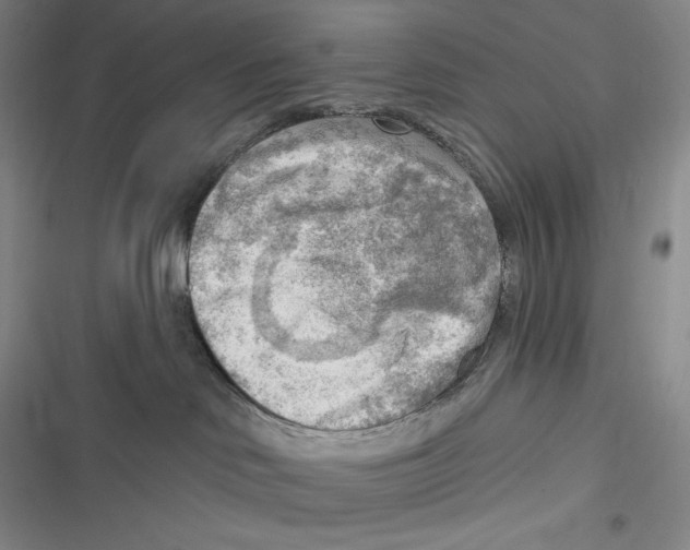 X0000116650046201001111238