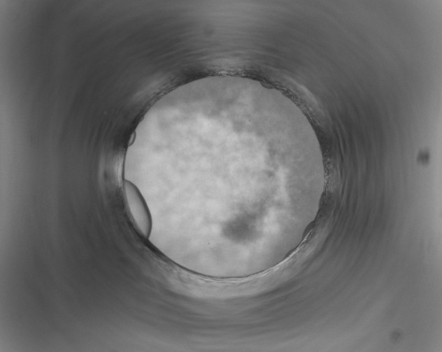 X0000116650047201001111238
