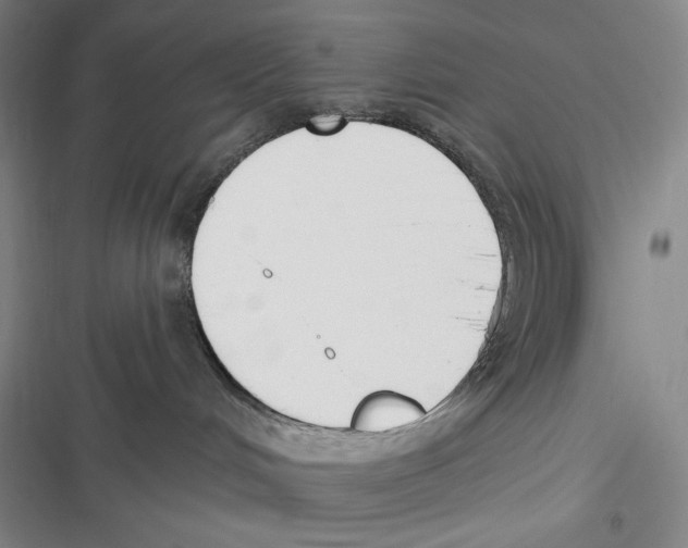 X0000116650048201001111238