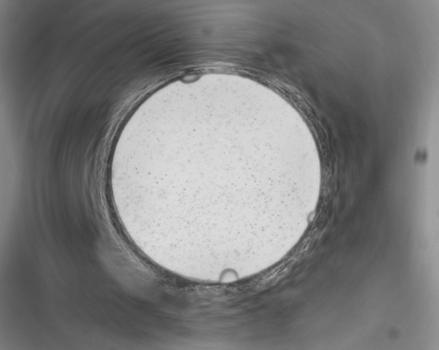 X0000116650049201001111237