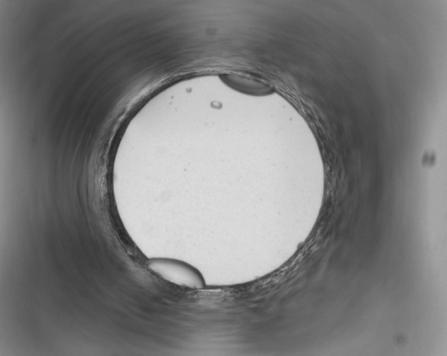 X0000116650050201001111237
