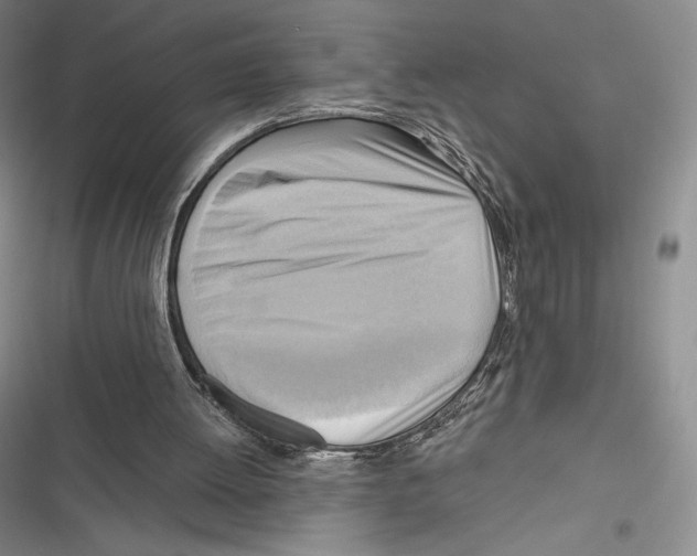 X0000116650052201001111237