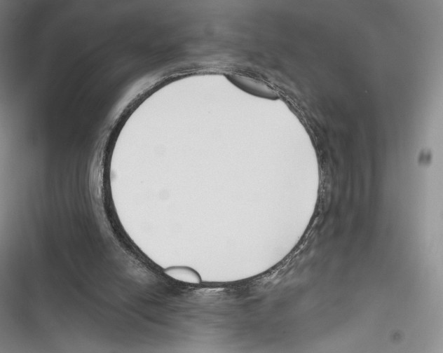 X0000116650054201001111237
