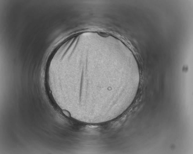 X0000116650055201001111237