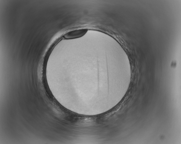 X0000116650056201001111237
