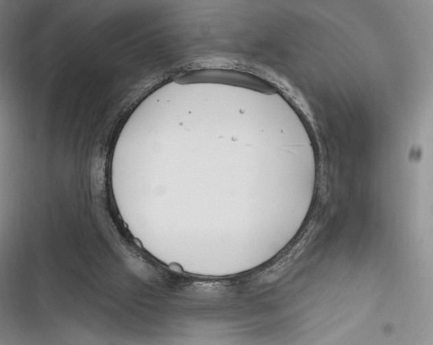 X0000116650057201001111237