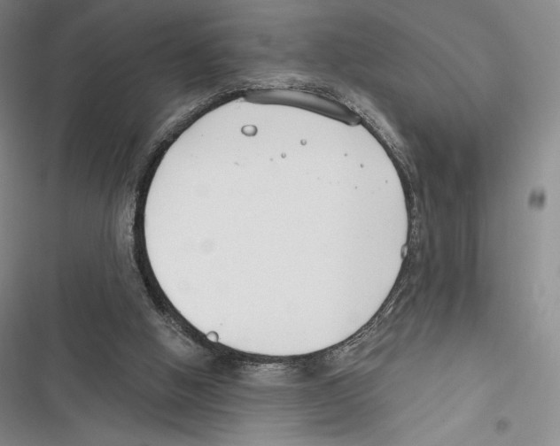 X0000116650058201001111237