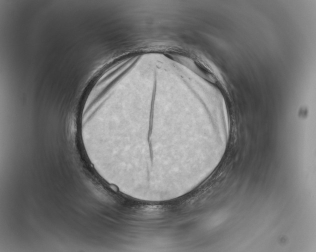 X0000116650059201001111237