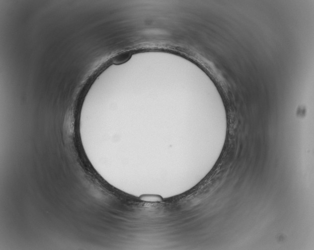 X0000116650060201001111237