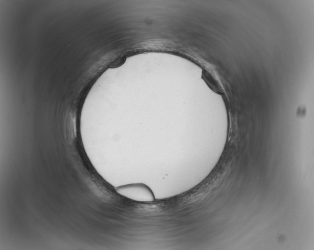 X0000116650061201001111237