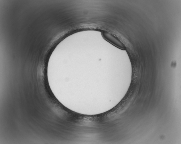 X0000116650064201001111238
