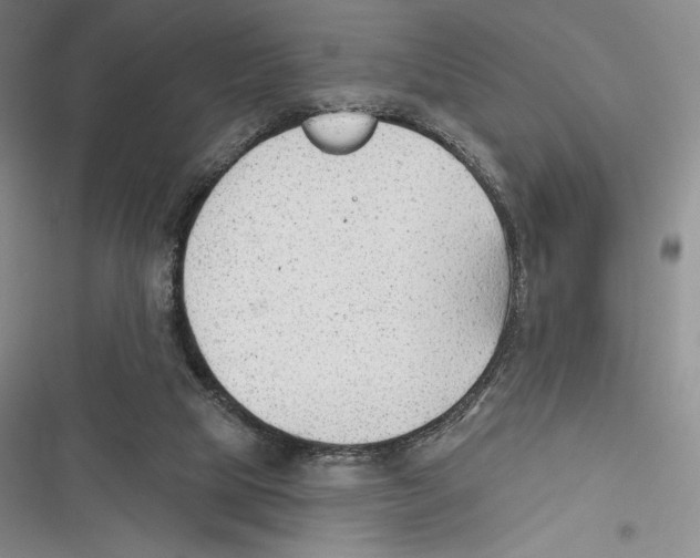 X0000116650065201001111238